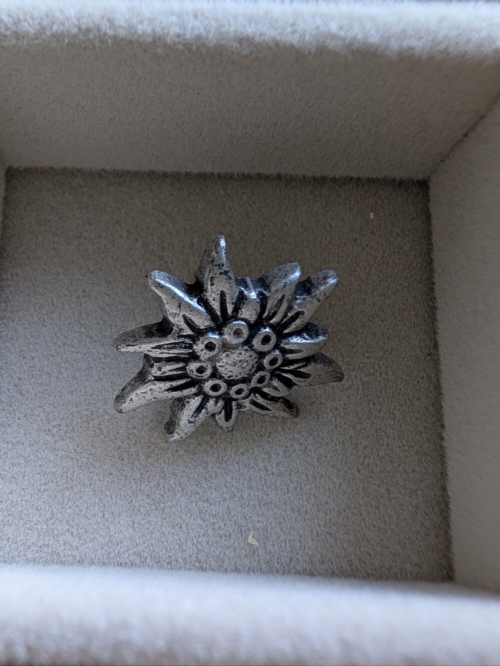 Silver-Tone Edelweiss Lapel Pin